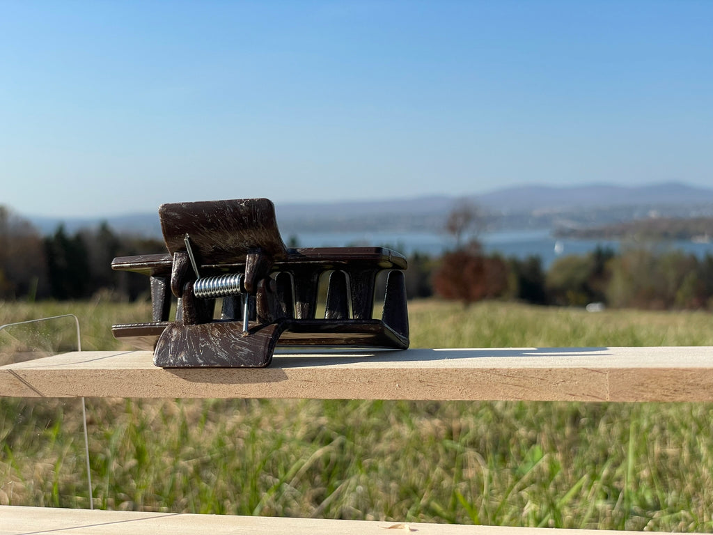 Moyenne pince - Brun