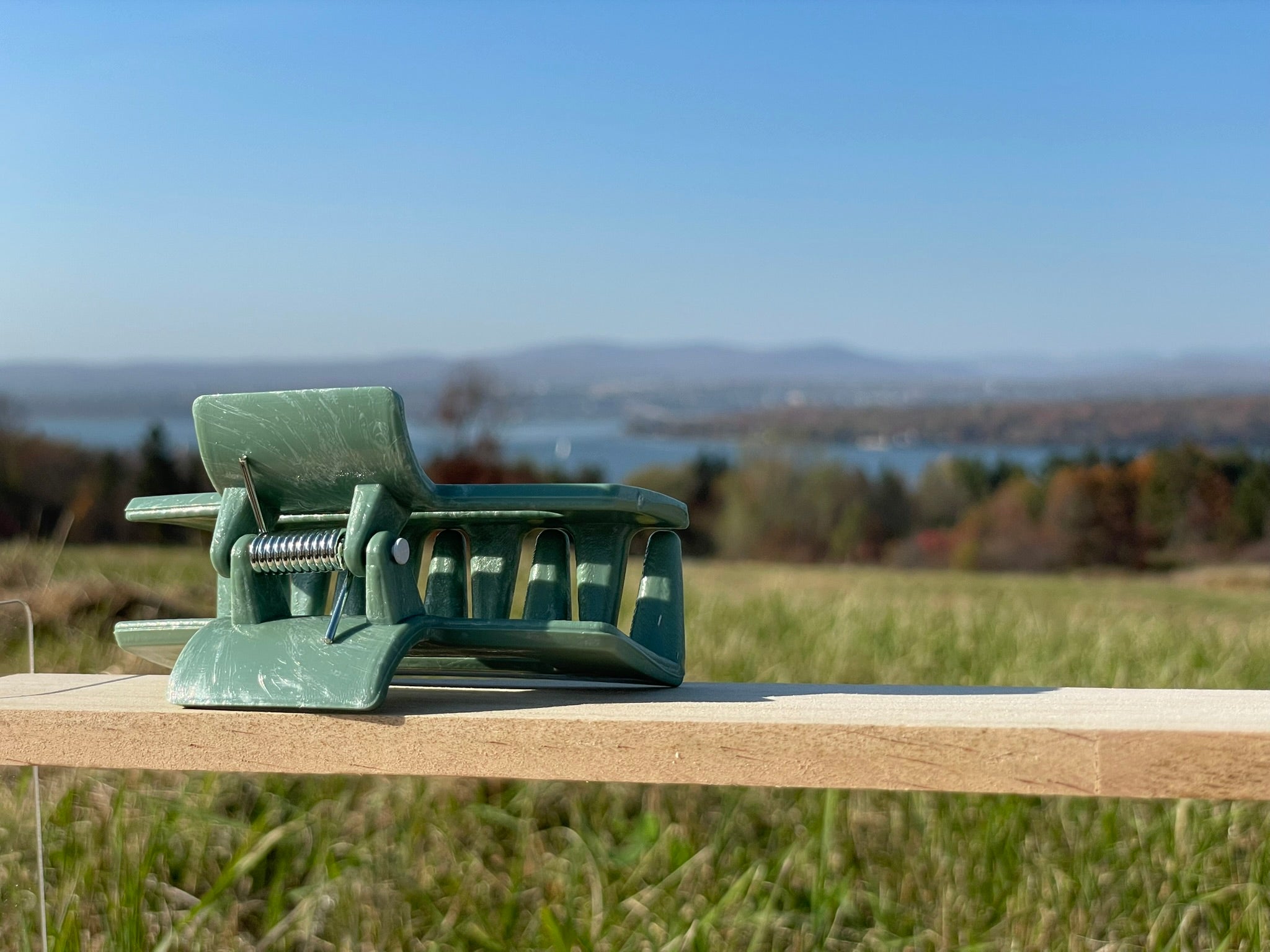 Moyenne pince - Vert ‼️ ÉDITION LIMITÉE ‼️