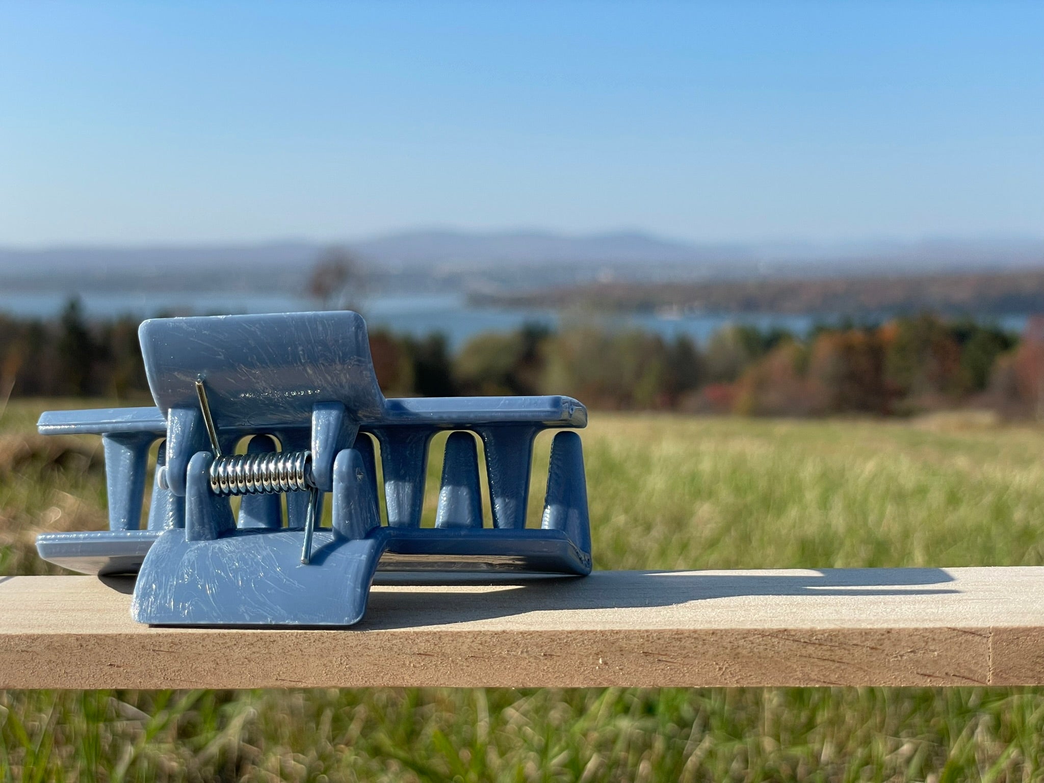 Moyenne pince - Bleu ‼️ ÉDITION LIMITÉE ‼️